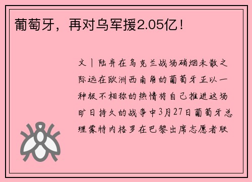 葡萄牙，再对乌军援2.05亿！