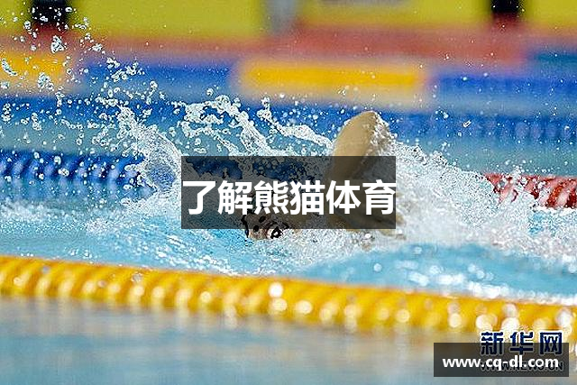 了解熊猫体育